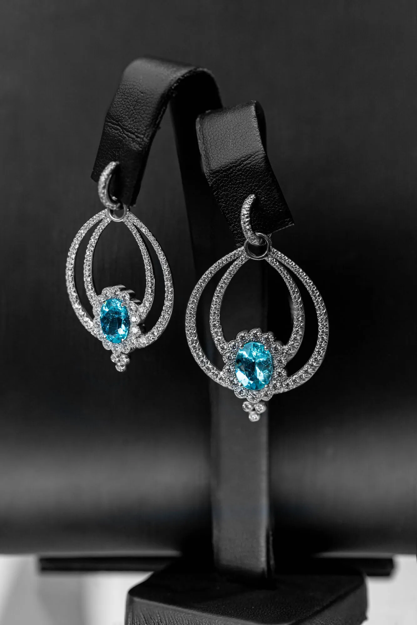 earrings on holder